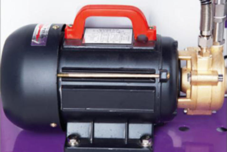 WJ-F29 Generador de vapor automático potente de 6000W/9000W/caldera de ahorro de energía con doble plancha de vapor/medidor de presión